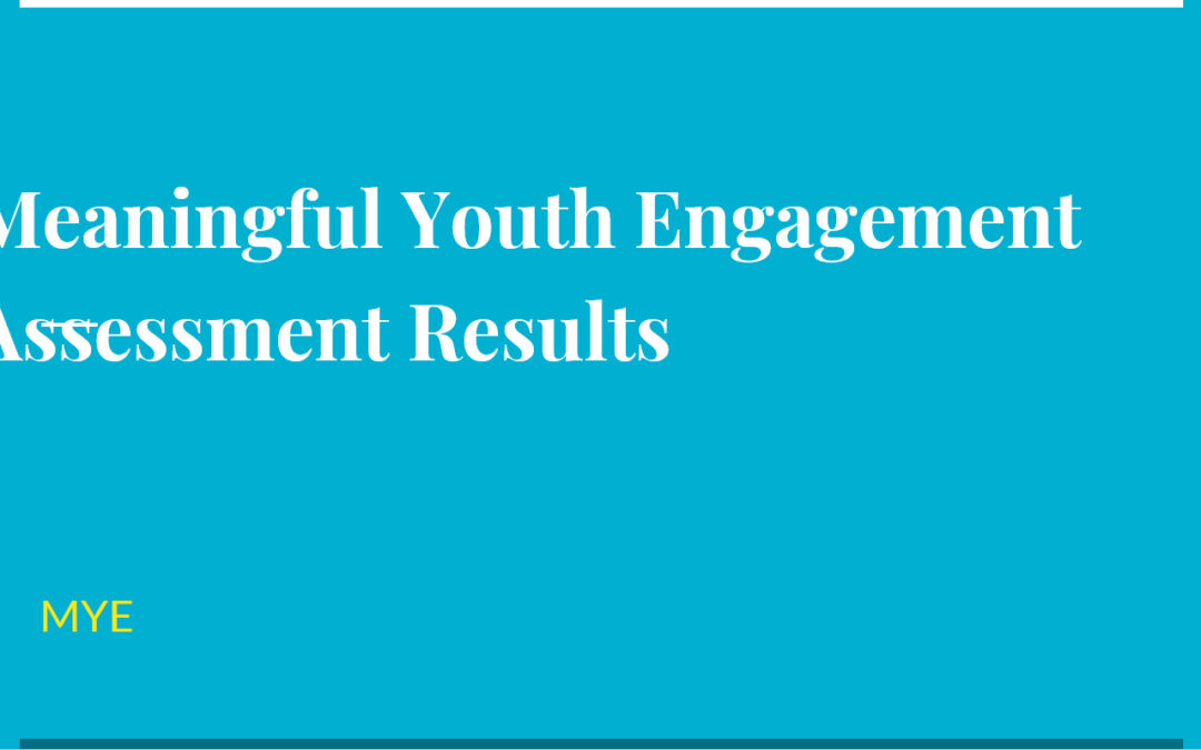 Meaningful Youth Engagement Assessment Results