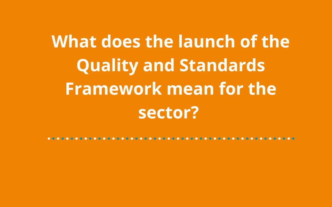 Que signifie le lancement du cadre de qualité et de normes pour le secteur ?